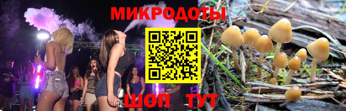 Димитровград  Псилоцибиновые грибы Magic Shrooms  Вход с VPN 
